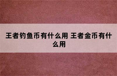 王者钓鱼币有什么用 王者金币有什么用